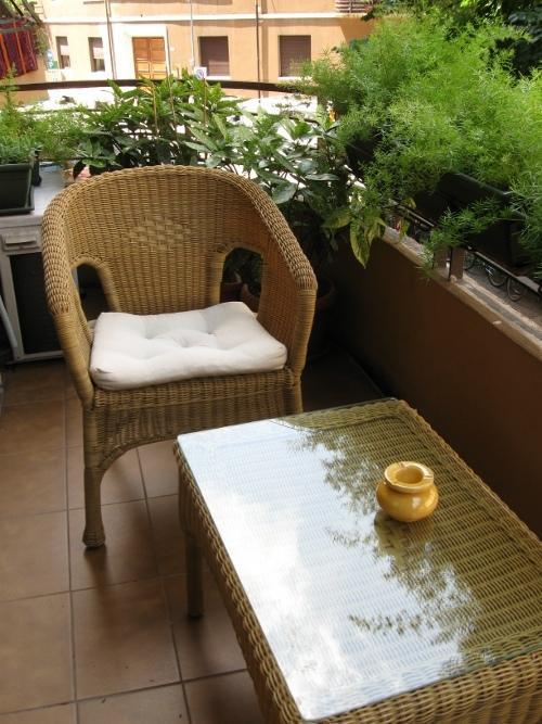 Artemisia Bb Verona